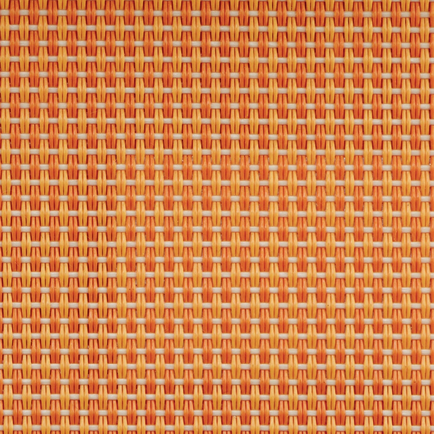 T13 APRICOT
