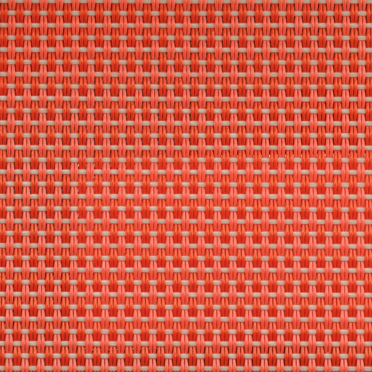 T14 RED ROSE